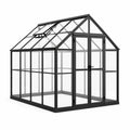 Serre de jardin en aluminium noir et polycarbonate transparent, 250 × 190 × 195 cm, double porte et fenêtres de toit